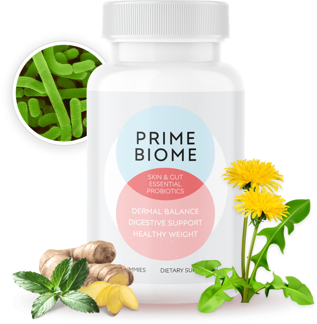 PrimeBiome single bottle with ginger, probiotic strains